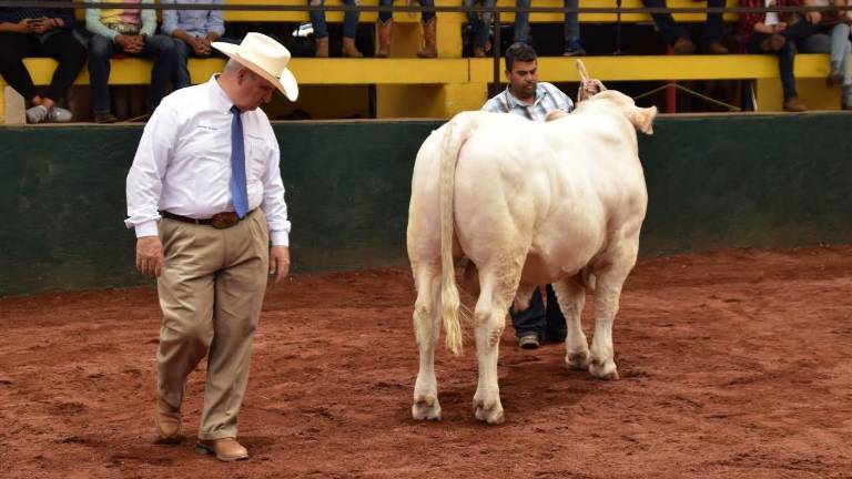 Su trayectoria como juez internacional lo ha llevado a evaluar las principales razas productoras de carne.
