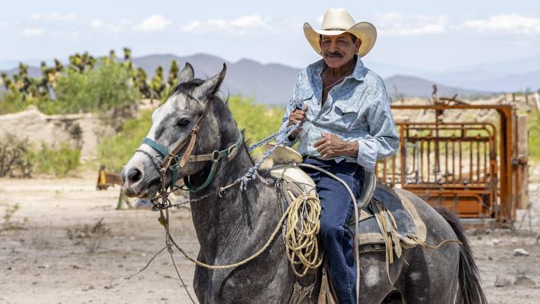 “El vaquero decide todos los días si un rancho gana o pierde”.