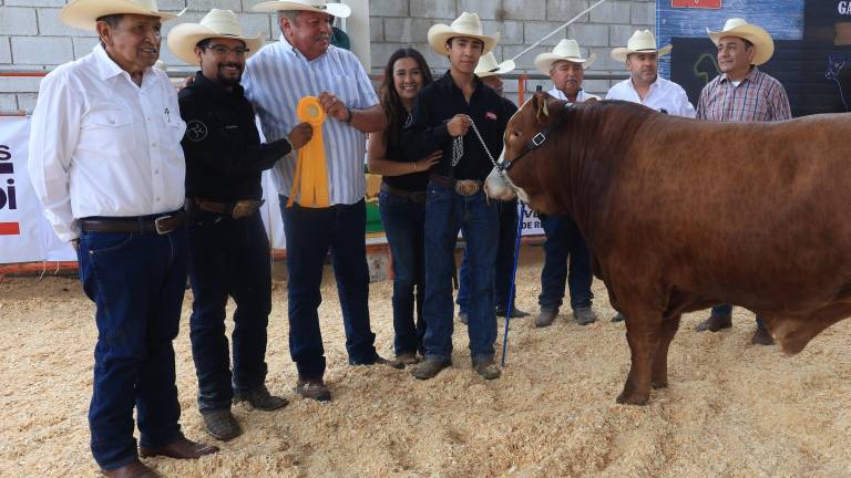 Ganadores del Concurso Becerro Gordo en sus diferentes categorías.