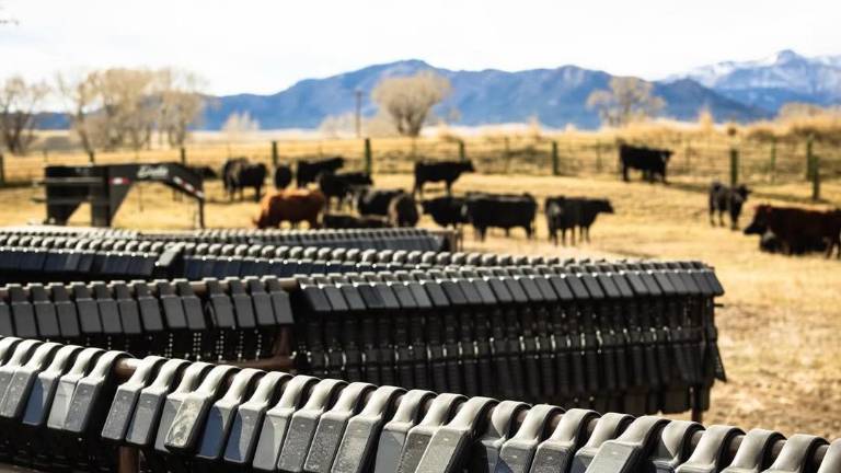 FOTOS: CORTESÍA HALTER E INTERNET