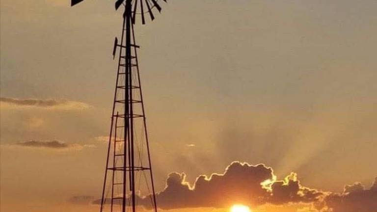 “El rancho exige disciplina diaria. Y esa disciplina termina convirtiéndose en una forma de vida”. Antonio Neira