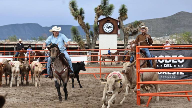 Los competidores pusieron a prueba su destreza en el manejo del caballo y del ganado en esta competencia realizada en Brío Natural.