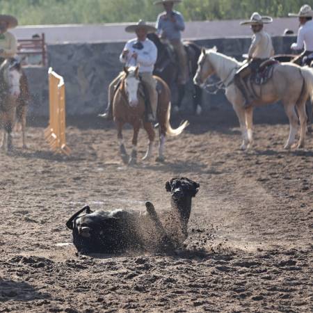 El Circuito Charro Coahuilense es una competencia que se desarrolla durante todo el año en diferentes lienzos de la ciudad.