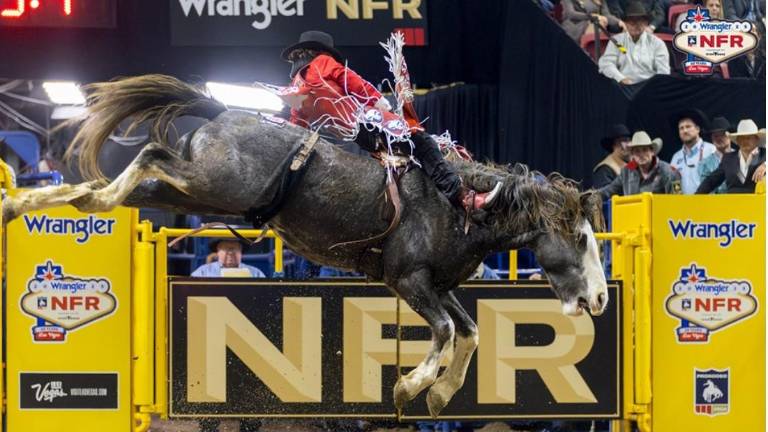 Rocker Steiner se enfrentó al caballo Silver Beaver y logró 88 puntos para llevarse el primer lugar de la segunda ronda en Caballo con Pretal.