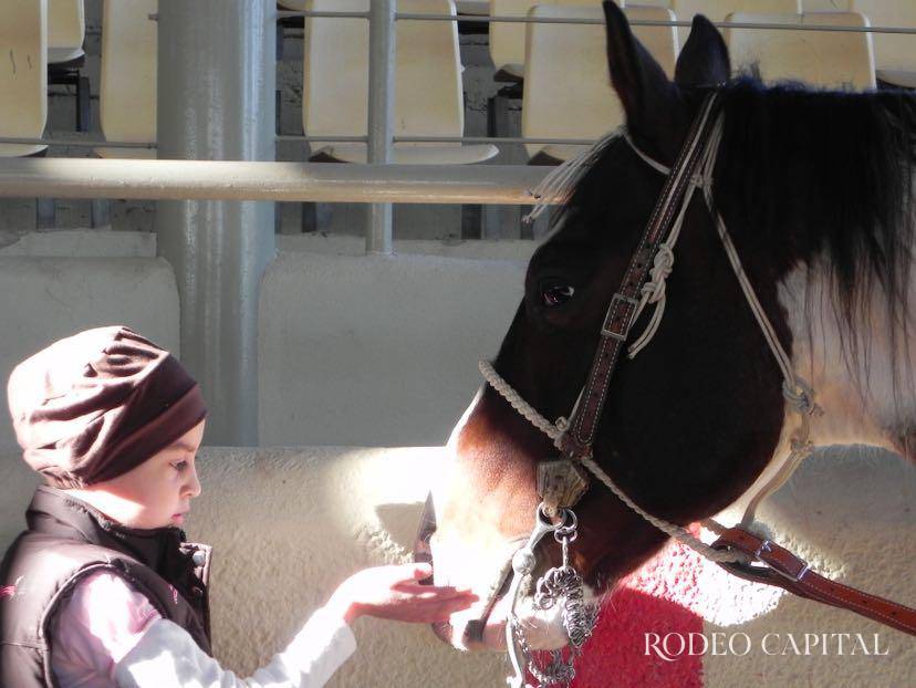 $!Gracias a sus caballos tuvo la motivación y la fuerza necesaria para vencer el cáncer.