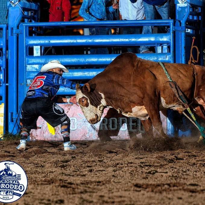 Francisco Vaquera logró el título como Cowboy Protection en el Campeonato Nacional de Rodeo realizado en Chihuahua el 31 de mayo.