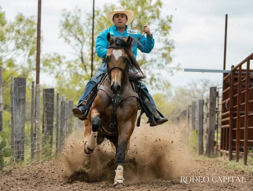 $!Su siguiente paso es encontrar un caballo muy bueno para competir en el rodeo profesional, específicamente en Texas.