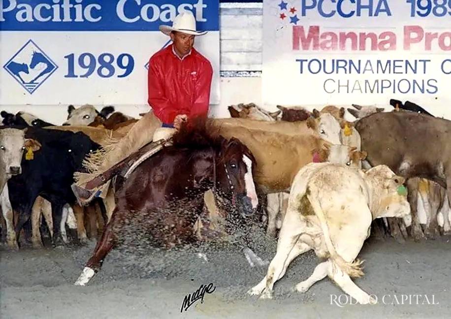 $!Nu Cash en plena acción durante el Pacific Coast Cutting Horse Association (PCCHA) Tournament of Champions de 1989.