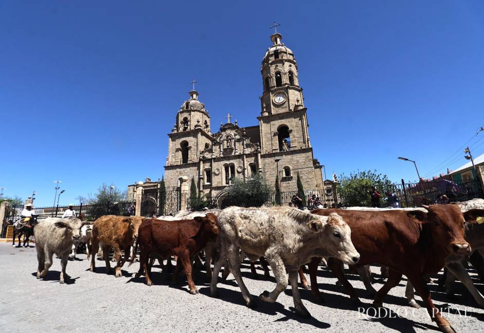 $!Entre ganado, lazos y tradición: así vibró Múzquiz en su gran fiesta vaquera
