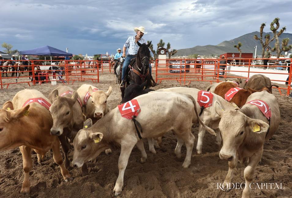 $!Realizan en Brío Natural competencia de Ranch Sorting