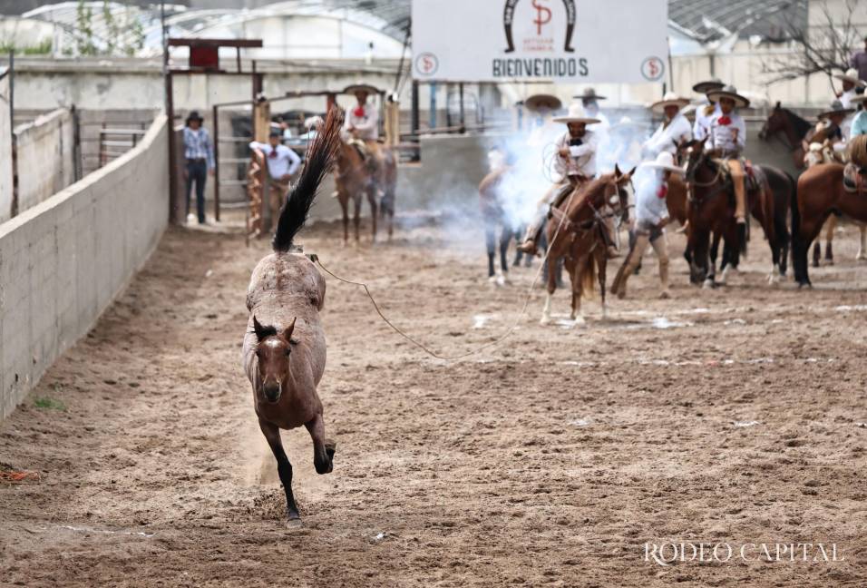 $!Avanza Tracomsa en el Circuito Charro Coahuilense