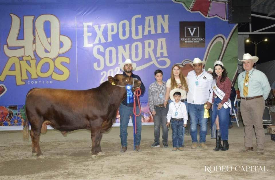 $!Seleccionar a los mejores ejemplares significa contribuir al desarrollo de una ganadería más competitiva, sustentable y orientada a producir carne de alta calidad.