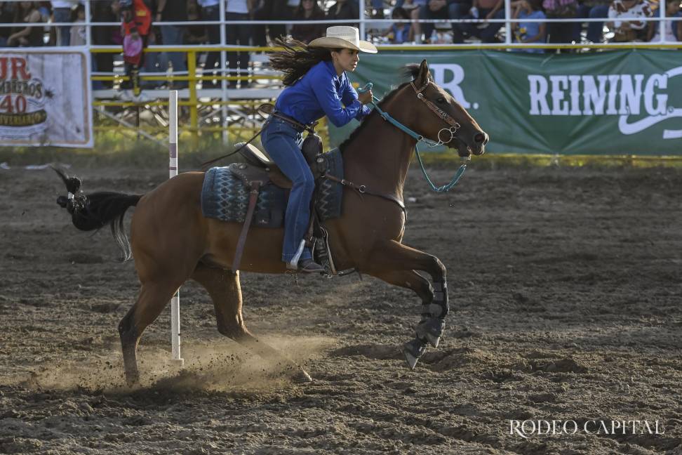$!Corona región sureste a sus campeones de rodeo