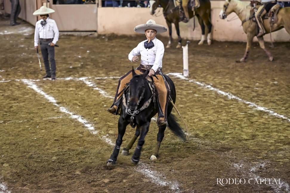 $!Luis González durante la ejecución de la suerte que le dio el triunfo.