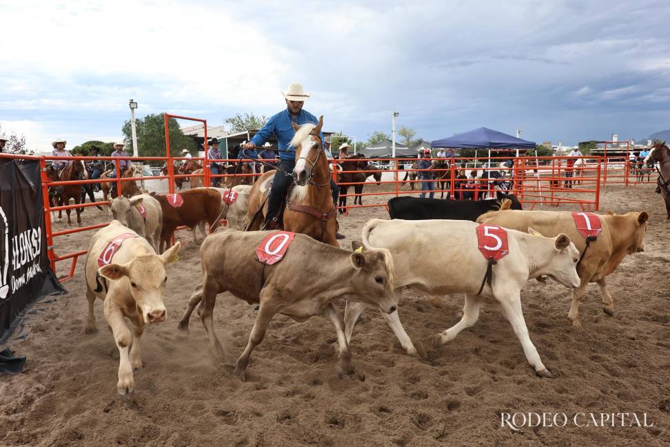 $!Realizan en Brío Natural competencia de Ranch Sorting