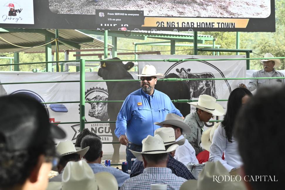 $!El viernes por la tarde se llevó a cabo la subasta que destacó por la alta calidad genética de los toros.