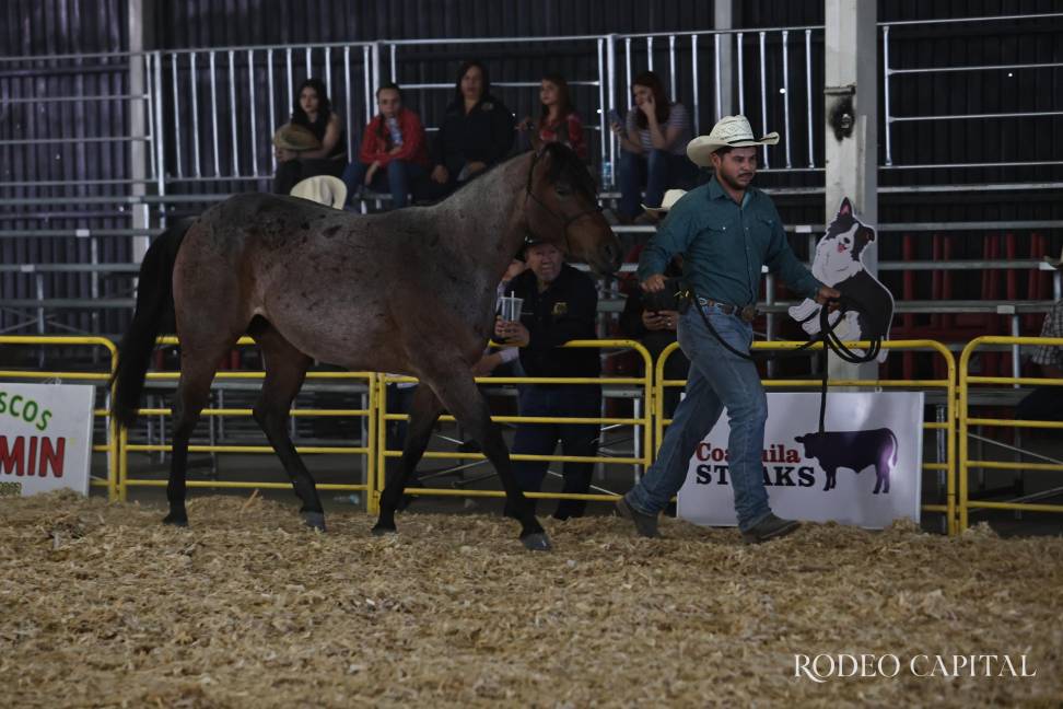 $!Egresados de la UAAAN le ponen sabor al Agrofest Coahuila 2026