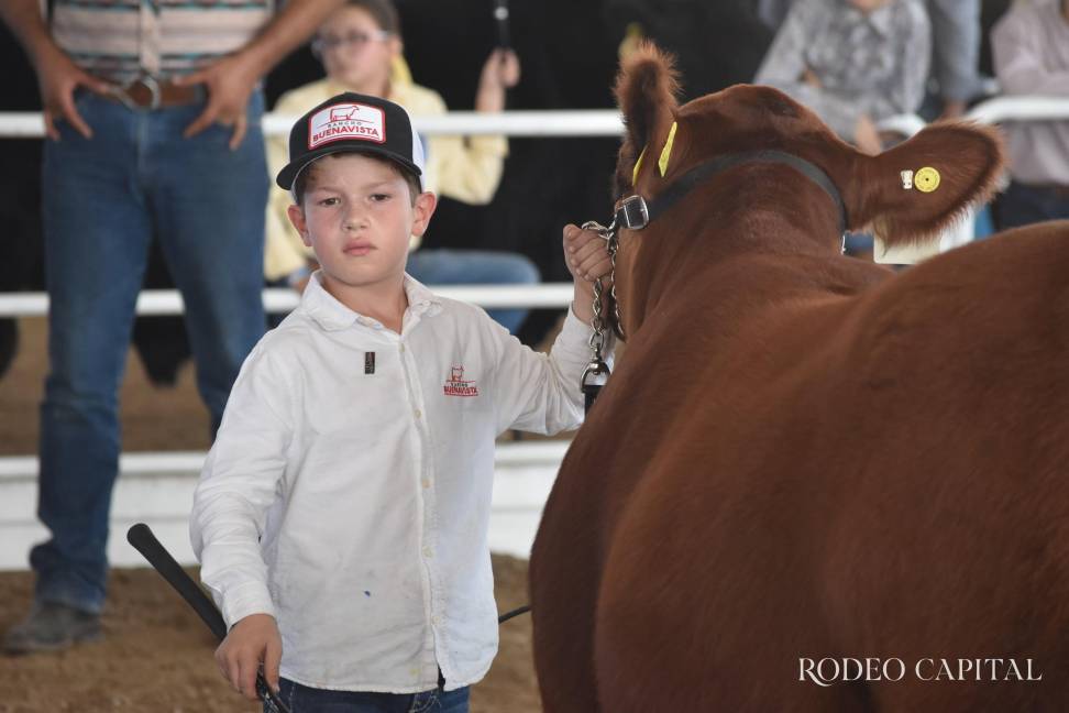$!Los más pequeños tuvieron actividad con el Concurso del Club Juvenil Angus Mexicana.