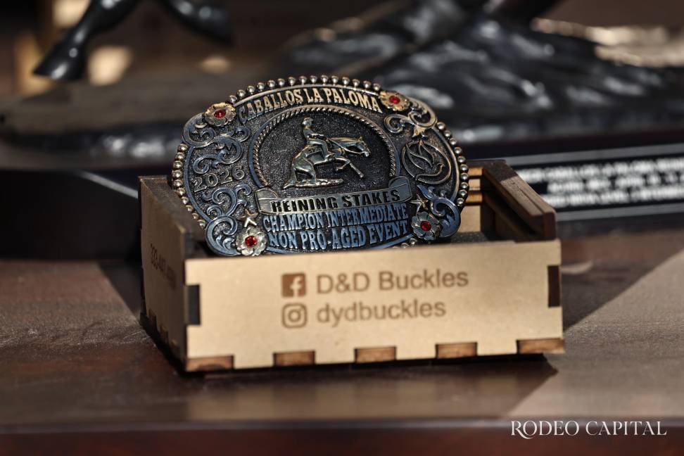 $!Héctor Nájera y SS Gotta Cold triunfan en el inicio de Caballos La Paloma Reining Stakes 2026