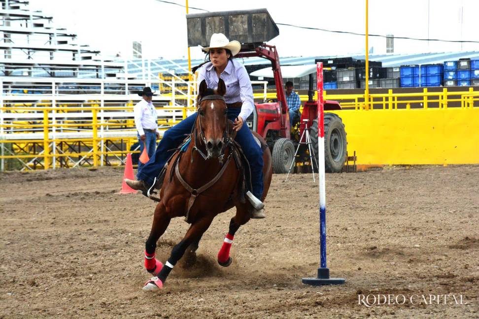$!Diego Medrano, el vaquero más campeón del 2026