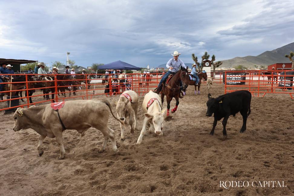$!Realizan en Brío Natural competencia de Ranch Sorting