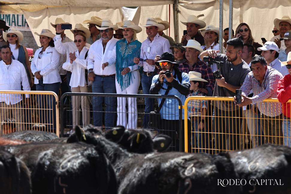 $!Tradición vaquera toma las calles de Múzquiz: así se vivió la Arreada 2026