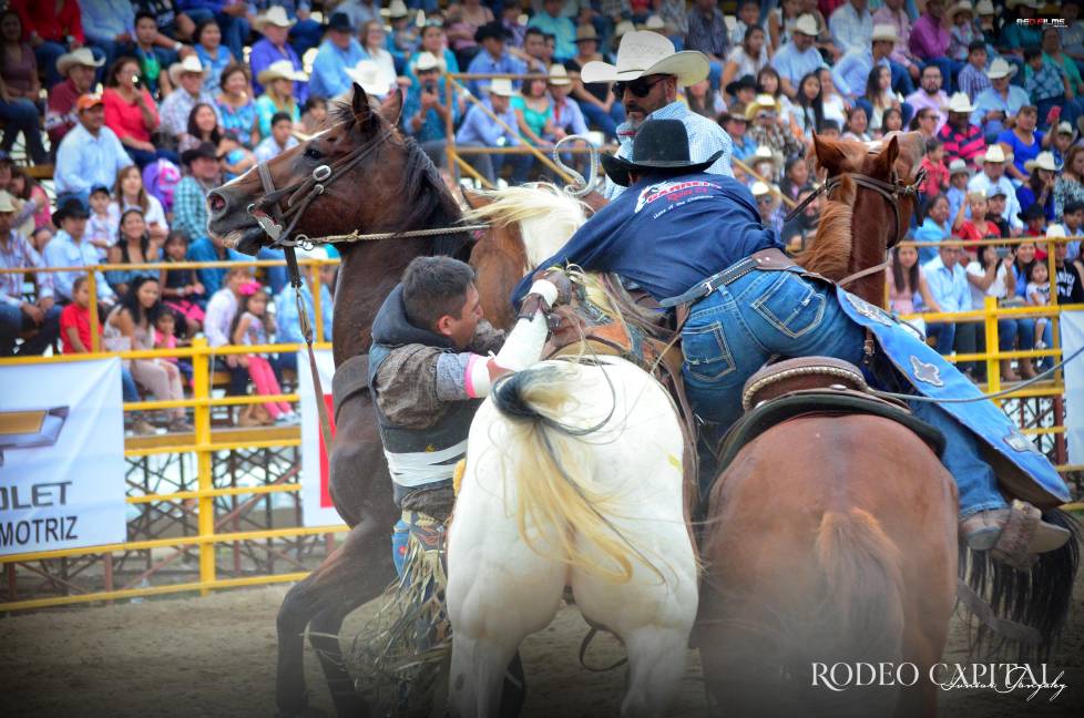$!En la disciplina de Caballo con montura, los pick ups son jinetes de apoyo, montados a caballo, que entran a la arena para auxiliar a los competidores.