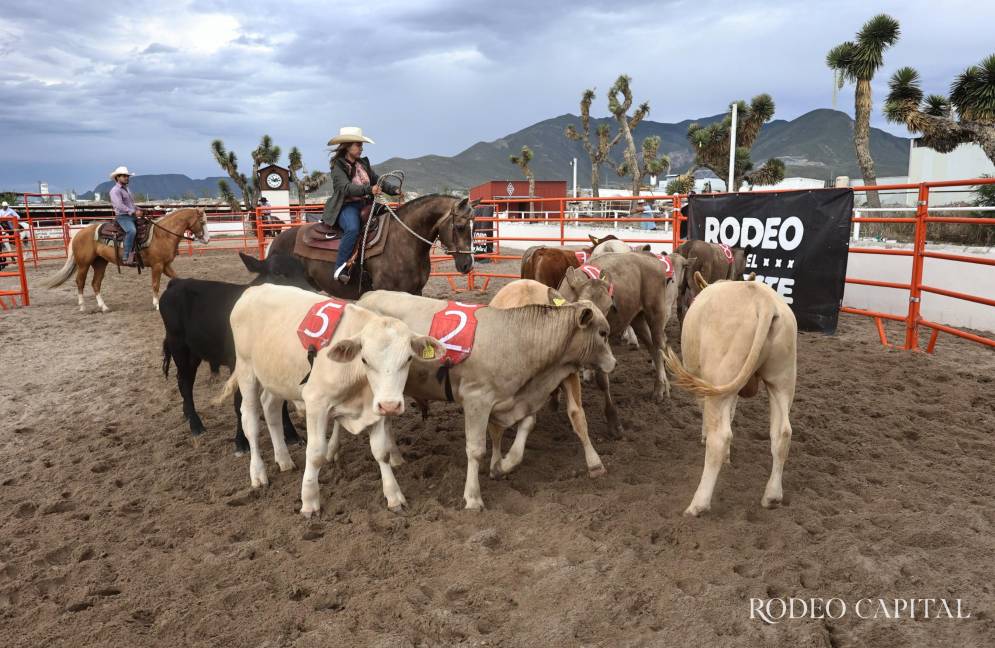 $!Realizan en Brío Natural competencia de Ranch Sorting